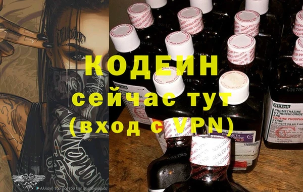 дурь Арсеньев