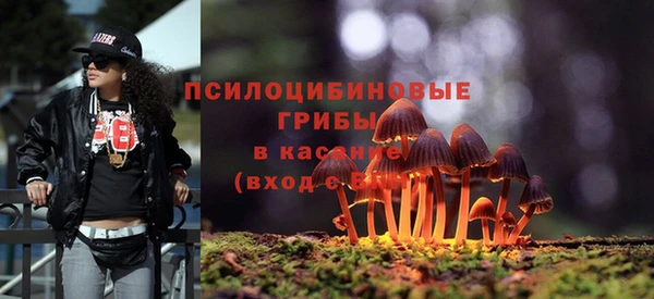 дурь Арсеньев